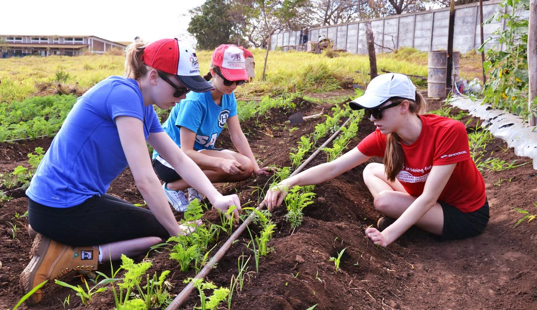 Volunteers working in field